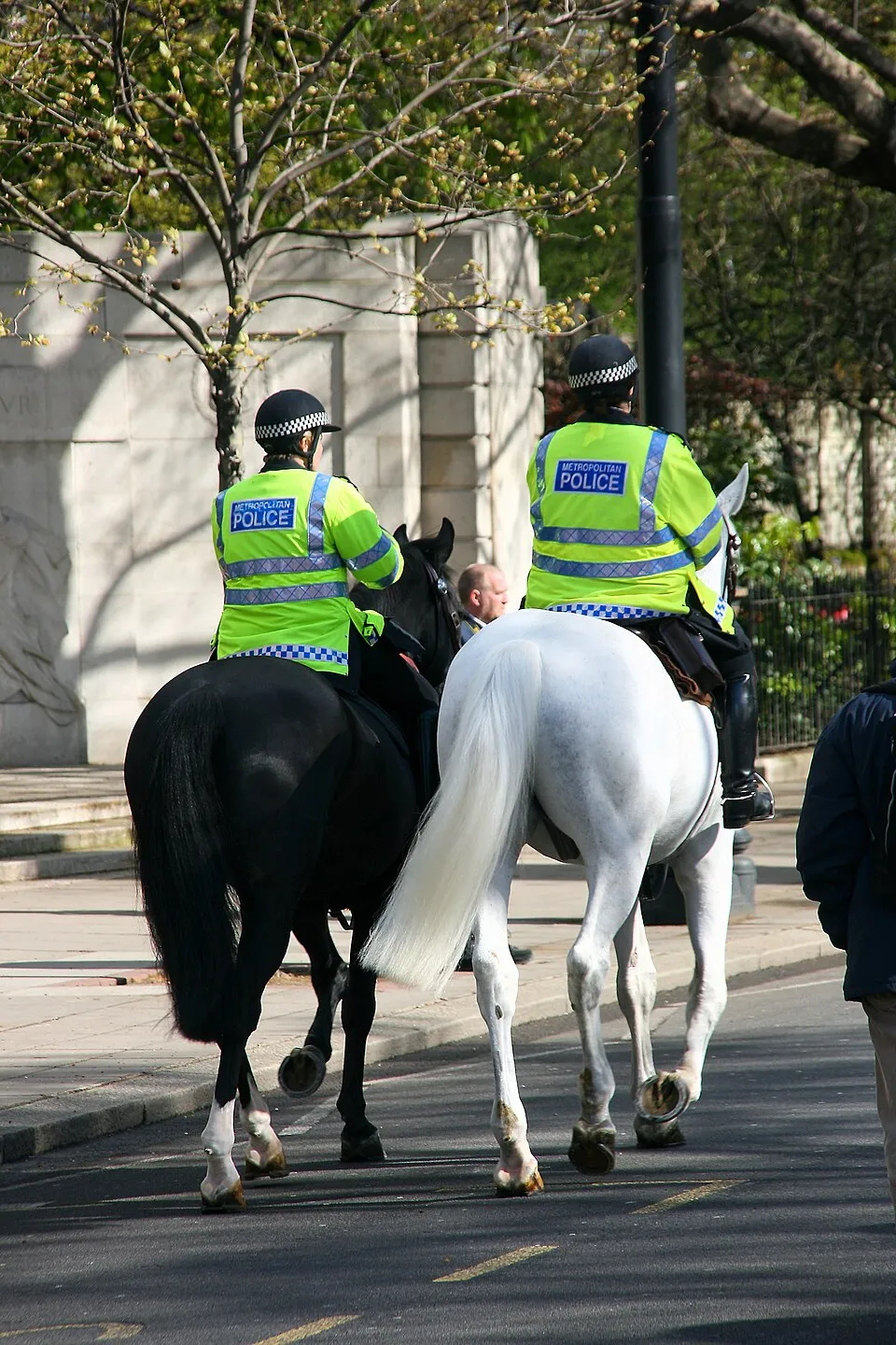 The police in the UK protect life and property, prevent disturbances, and prevent and detect crime
